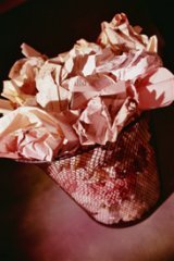 foto (200)  IMAGEN FOTOGRAFIA